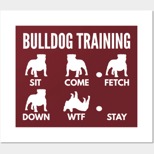 Bulldog Training English Bulldog Dog Tricks Posters and Art